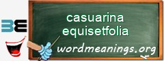 WordMeaning blackboard for casuarina equisetfolia